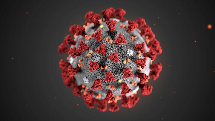 Peta Protein Virus Corona